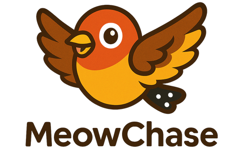 MeowChase